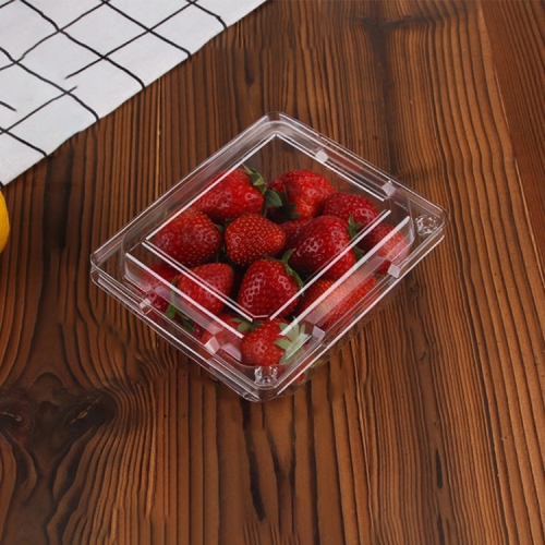 

100 PCS Disposable Transparent Plastic Vegetable and Fruit Packaging Fresh-keeping Box with Lid, Style:250A