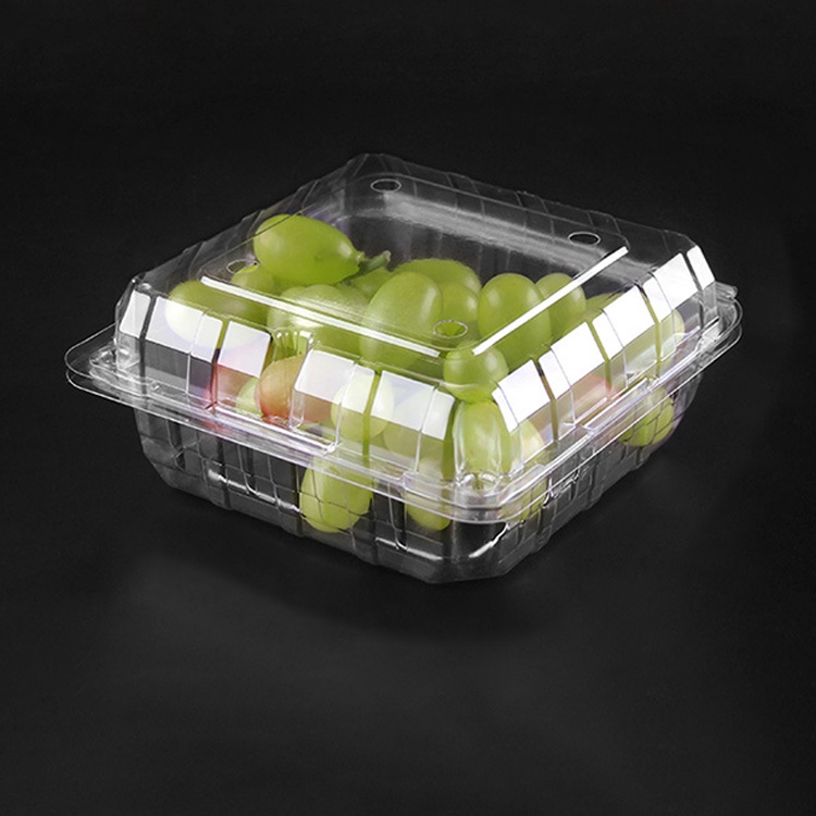 

100 PCS Disposable Transparent Plastic Vegetable and Fruit Packaging Fresh-keeping Box with Lid, Style:400S