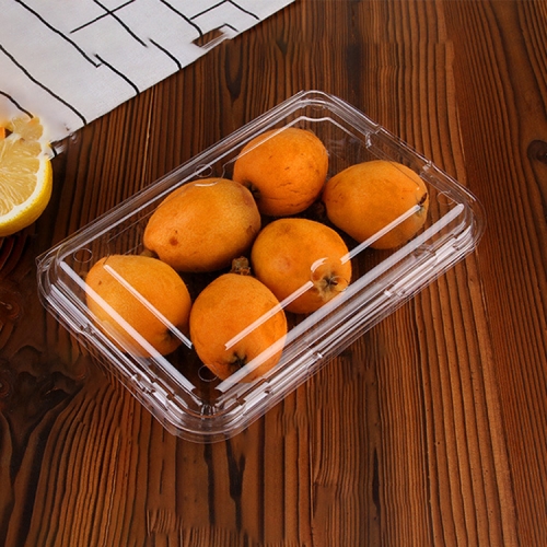 

100 PCS Disposable Transparent Plastic Vegetable and Fruit Packaging Fresh-keeping Box with Lid, Style:400A