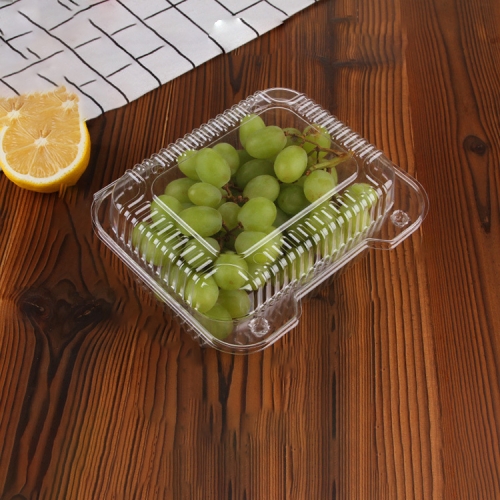 

100 PCS Disposable Transparent Plastic Vegetable and Fruit Packaging Fresh-keeping Box with Lid, Style:500B Thickened