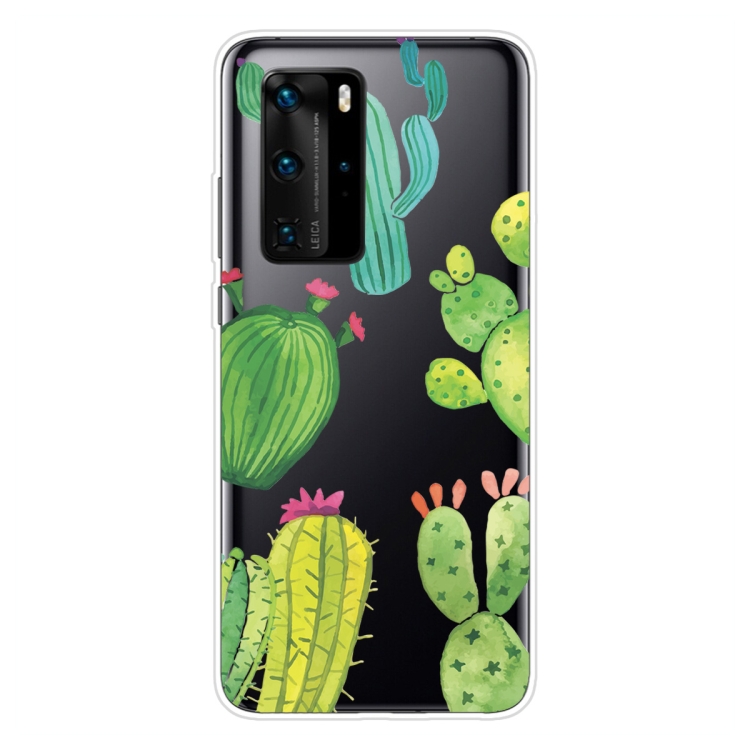 

For Huawei P40 Pro Shockproof Painted Transparent TPU Protective Case(Cactus)