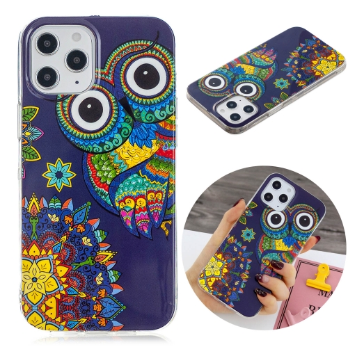 

For iPhone 12 / 12 Pro Luminous TPU Soft Protective Case(Blue Owl)
