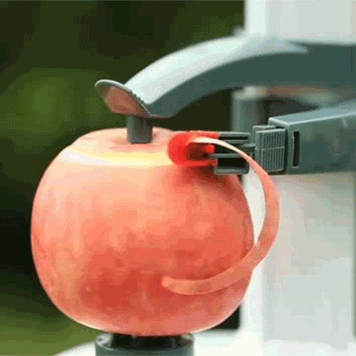 SUNSKY - Multifunction Stainless Steel Electric Vegetables Fruit Apple  Peeler Peeling Automatic Peeling Machine