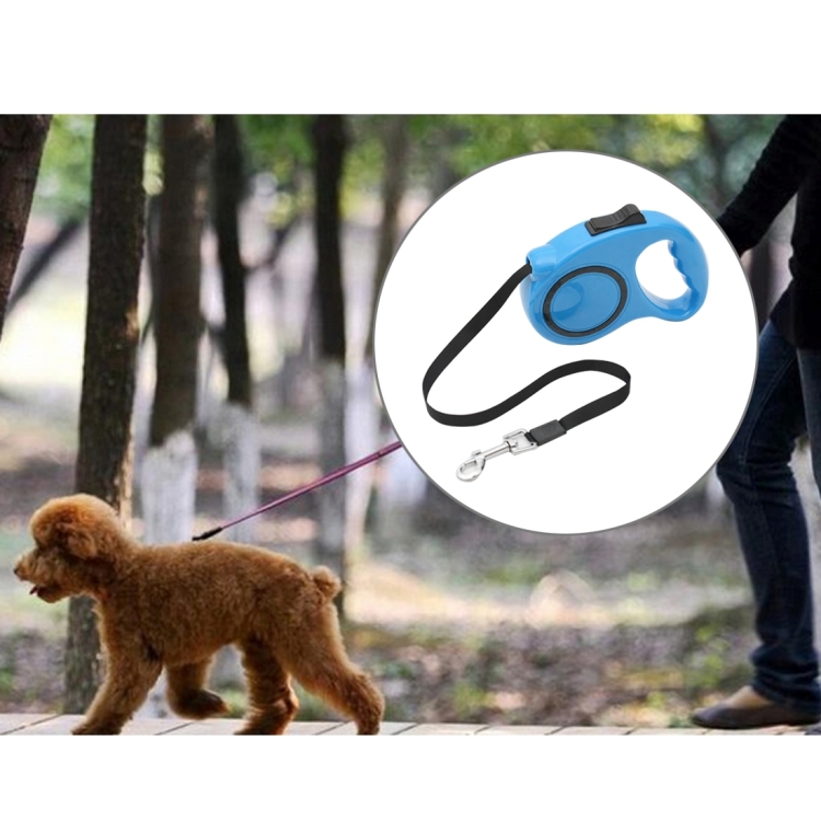 

Pet Retractable Leash Automatic Extending Pet Walking Leads, Length: 5m (Blue)
