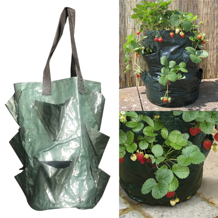 

CMD-3 3 Gallon Hanging Strawberry PE Planting Bag Horticultural Flower Planting Bag (Green)