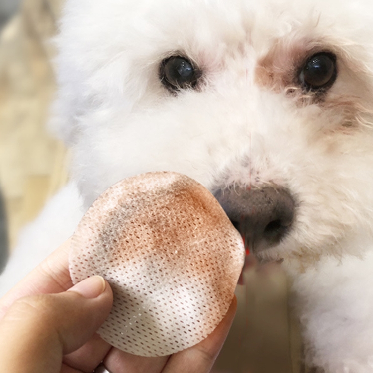 

100 PCS/Bottle Pet Tear Removal Wet Towel Eye Tear Cleaning Facial Tissue