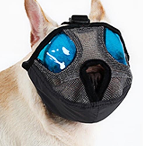 dog mouth cap