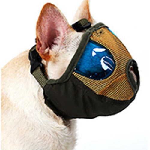 flat nose dog muzzle