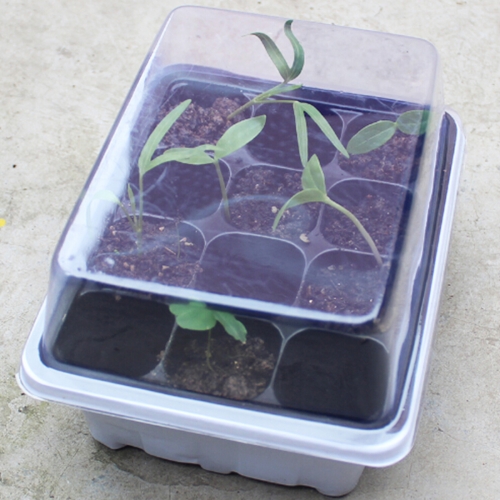 

5 PCS Seedling Tray Sprout Plate 12 Holes Nursery Pots Tray Lids Box For Gardening Bonsai Mini Greenhouse Nursery Plate(White)