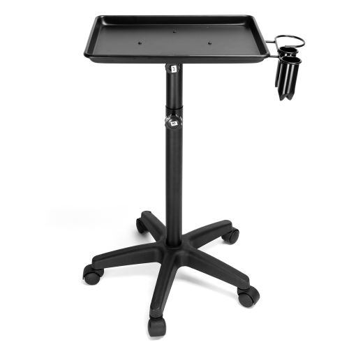 

[US Warehouse] Hairdressing Beauty Tool Cart Aluminum Tray(Black)