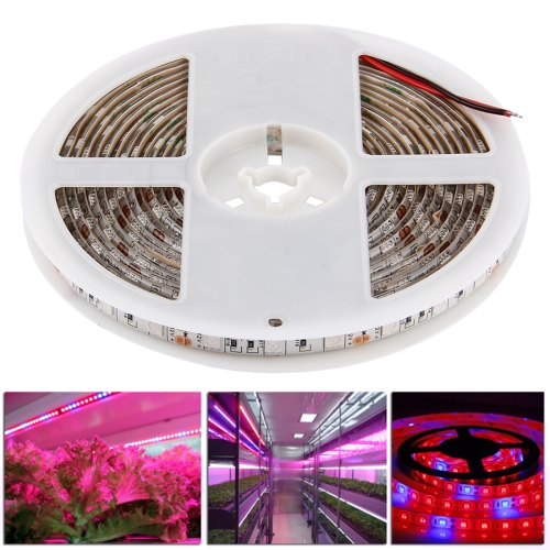 

5m SMD 5050 3:1 Red + Blue LED Plant Grows Lamp, 300 LEDs Aquarium Greenhouse Hydroponic Waterproof Epoxy Rope Light, 60 LEDs/m, DC 12V