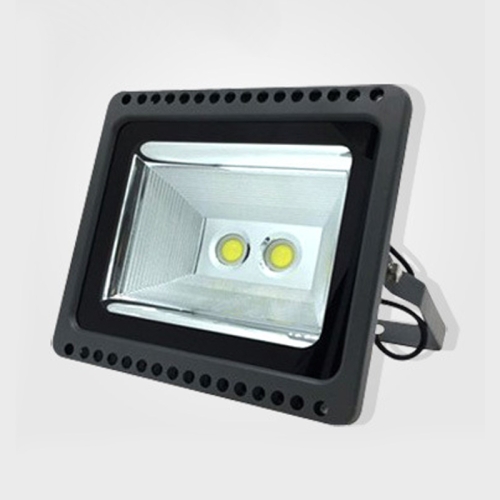 

100W LED Engineering Projection Light IP65 Waterproof Turtle Shell Lamp Outdoor Spotlight, White Light