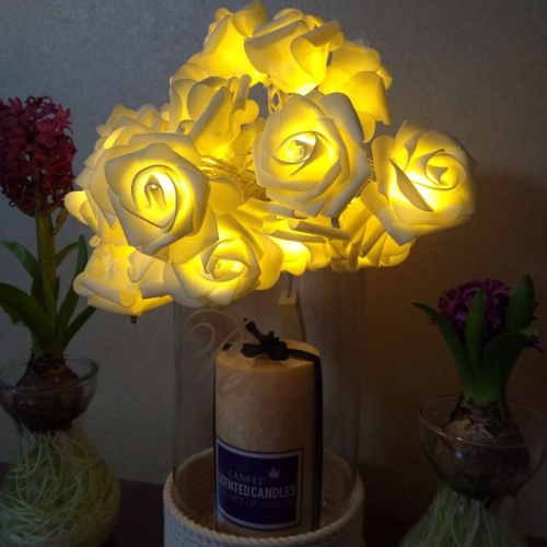 

3m Rose Shape USB Plug Romantic LED String Holiday Light, 20 LEDs Teenage Style Warm Fairy Decorative Lamp for Christmas, Wedding, Bedroom(Warm White)