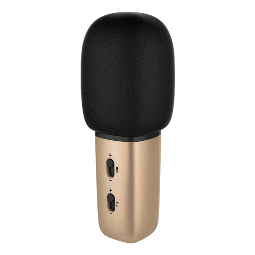 

Xiaomi Youpin C1 Wired Karaoke Microphone (Gold)