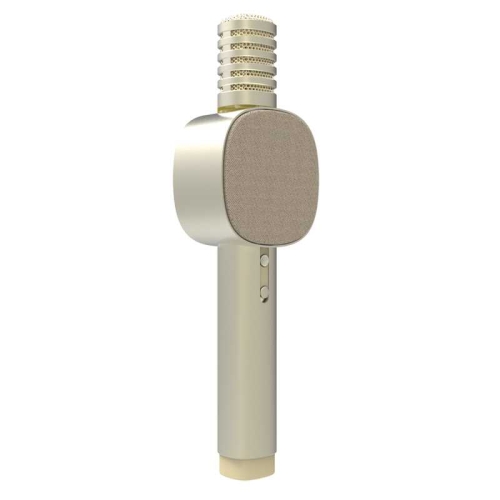 

Original Xiaomi Youpin Xiaohou Xiaoai A3 Smart Speaker Microphone (Gold)