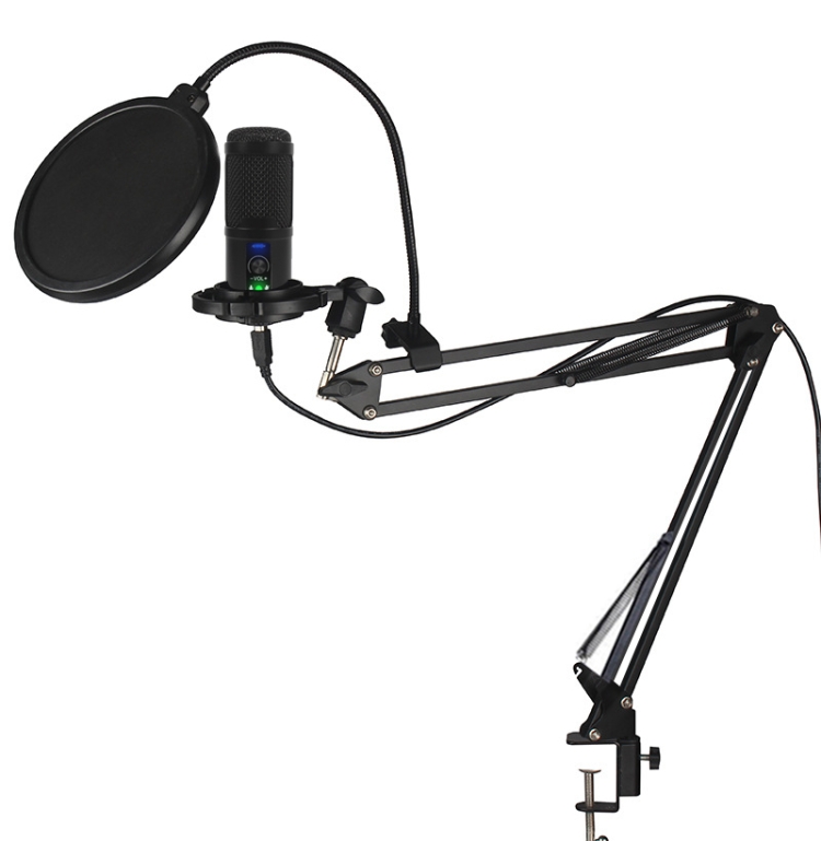 

BM-65 Heart-shaped Pointing USB Condenser Microphone Cantilever Bracket Set