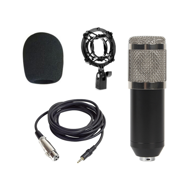

BM-800 Back Pole Large-diaphragm Condenser Microphone Set (Silver)