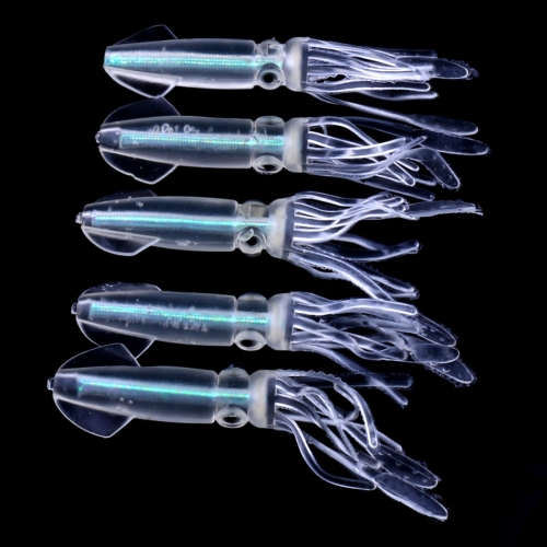 

HENGJIA 5PCS Colorful Pipe Squids Plastic Soft Baits Artificial Fishing Lures Bionic Fishing Bait, Length: 9 cm