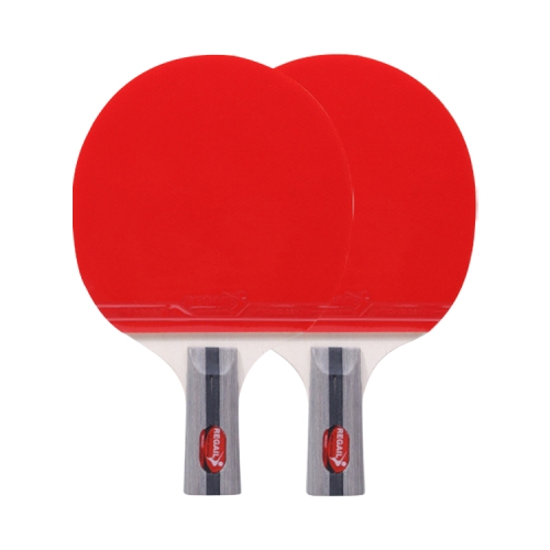 

REGAIL 8020 2 in 1 Short Handle Penhold Ping Pong Racket + Ping Pong Ball Set for Training