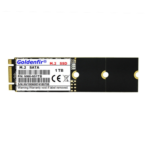 

Goldenfir 1.8 inch NGFF Solid State Drive, Flash Architecture: TLC, Capacity: 1TB