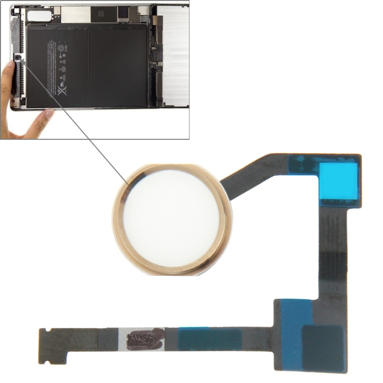 

Original Home Button Flex Cable for iPad Air 2 / 6(Gold)