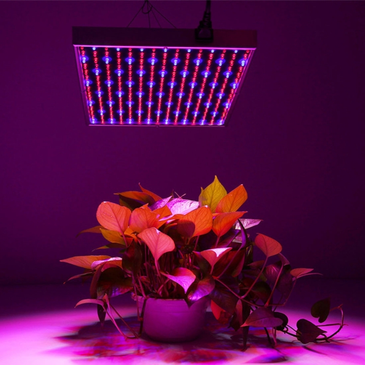 

10W 380LM Hydroponic Plant Grow Light, 225 LED, Low Power, Red and Blue Light, AC 85-265V