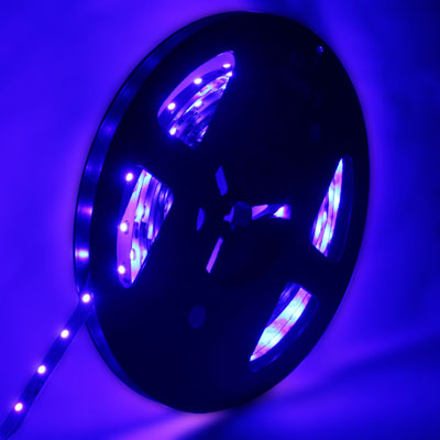 

4.8W Bare Board Rope Light, Length: 5m, Blue Light 3528 SMD LED, 60 LED/m, DC 12V