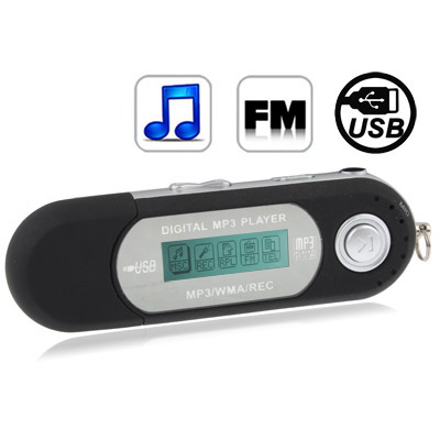 

4GB MP3 Player with LCD Screen, Support FM Radio, Work with AAA battery, Use as USB Flash Disk(Black)