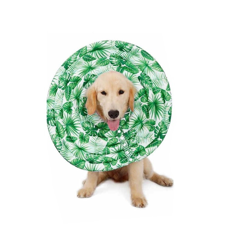 

DogLemi Pet Dog Cat Anti-bite Anti-licking Beauty Cover Collar, Size:M(Green Leaf)