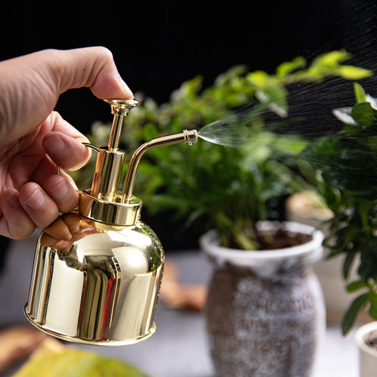 

Vintage Brass Gardening Meaty Small Watering Can