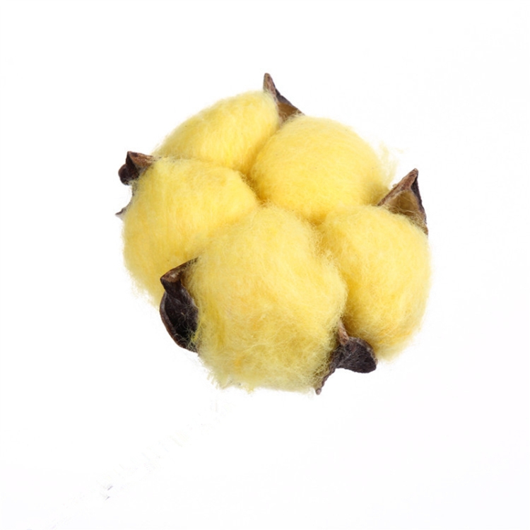 

10 PCS Natural Cotton Balls Dry Flower Plants Party Birthday Hotel Courtyard Decoration(Yellow)