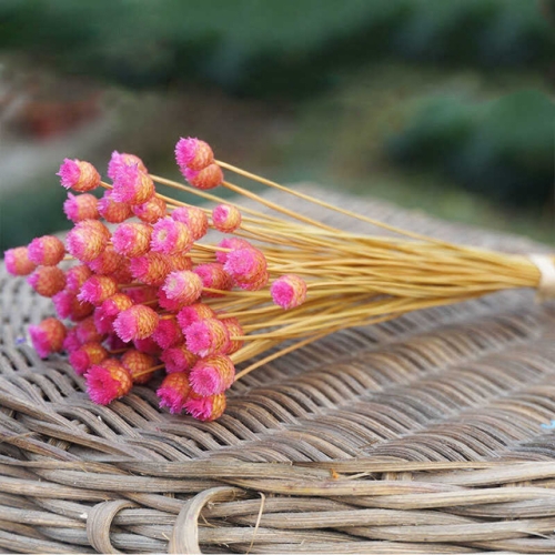 

50 PCS Natural Art Dried Flowers Floral DIY Artificial Happy Flowers For Garden Decor Photo Props(Pink)