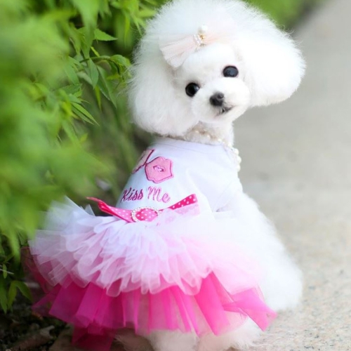 

Dog Clothes Dress Lace Princess Chihuahua Pet Clothing, Size:XS(Pink)