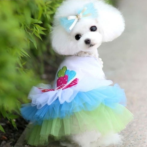

Dog Clothes Dress Lace Princess Chihuahua Pet Clothing, Size:XS(Blue)