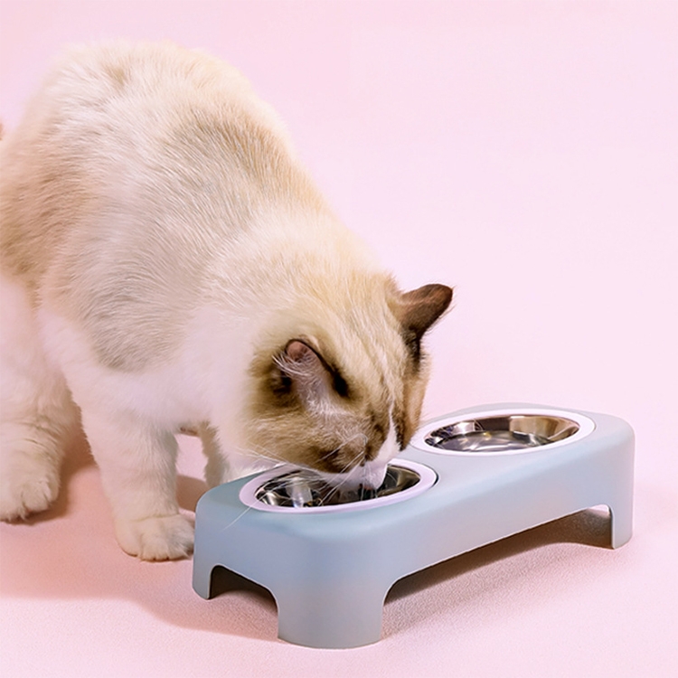 

Candy Color Simple Stainless Steel Plastic Dog Cat Bowl Pet Double Bowl, Size:L(Blue)