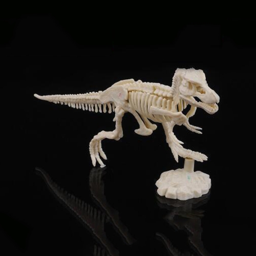 

Creative DIY Excavation Archeological Dinosaur Toy Fossil Puzzle Children Handmade Dinosaur Skeleton Model(Tyrannosaurus)