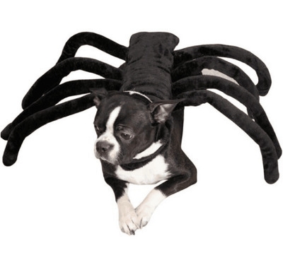 

Creative Cat Dog Halloween Bat Wings Funny Props Pet Clothes, Size：M(Spider Pack )
