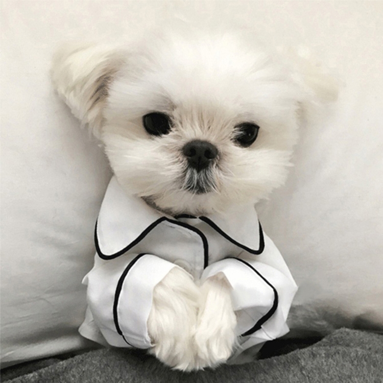 dog silk pajamas