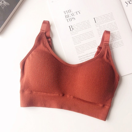 

Seamless Threaded Vest With Chest Pad Tube Top, Size: One Size(Caramel Colour)