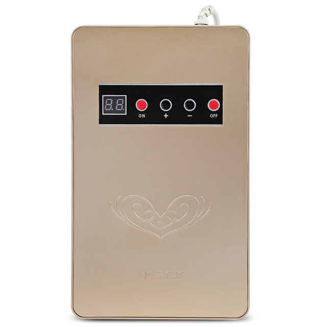 

LR-Z128 Electric Ozonizer Air Purifiers For Home Food Fruit Sterilization Detoxification Machine, Power Plug:110V US Plug(Gold)