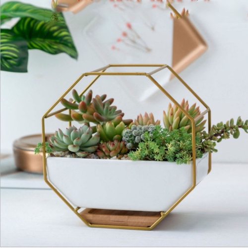 

Simple Octagonal Geometric Wall Hanging Table Succulent Platter Bamboo Support Iron Frame Flower Pot(Gold)