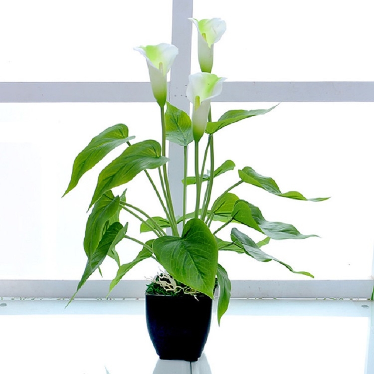 

Artificial Flower Calla Plant Potted Home Decoration Green Plant(White Green)