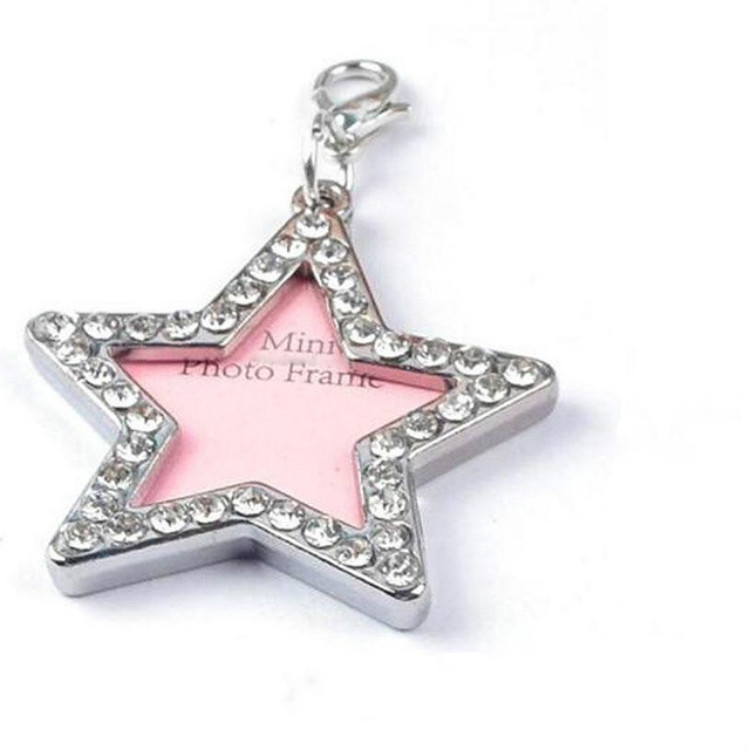 

Pet Dog Identification Metal Tag Pendant(Pentagram)