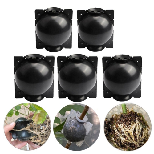 

5 PCS High Pressure Propagation Ball Graft Box Breeding Case For Garden Graft, Size: 5cm(Black)