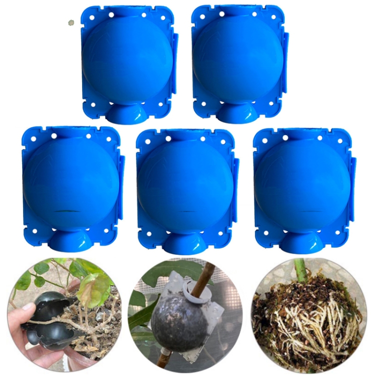 

5 PCS High Pressure Propagation Ball Graft Box Breeding Case For Garden Graft, Size: 12cm(Blue)