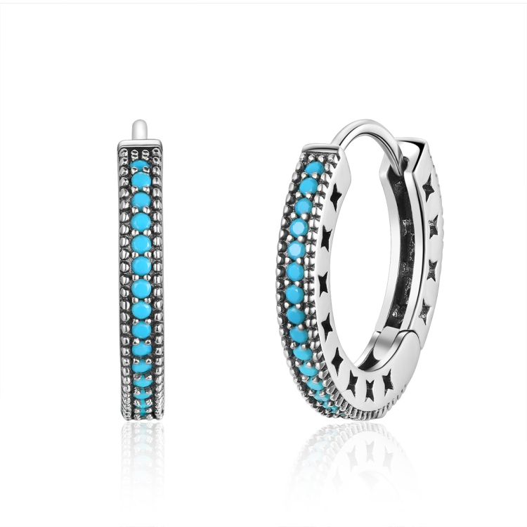 

Simple Sparkle S925 Sterling Silver Earrings