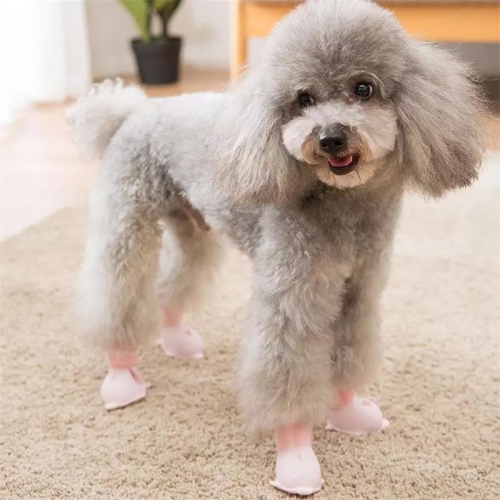 silicone dog shoes