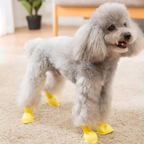 silicone dog shoes