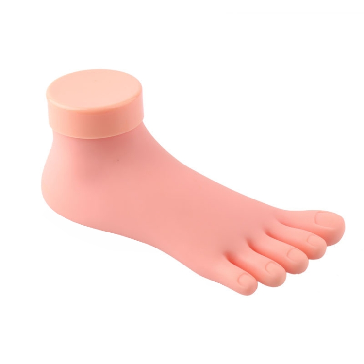 

Nail Practice Prosthetic Foot Foot Model Display Board Prosthetic Foot Model