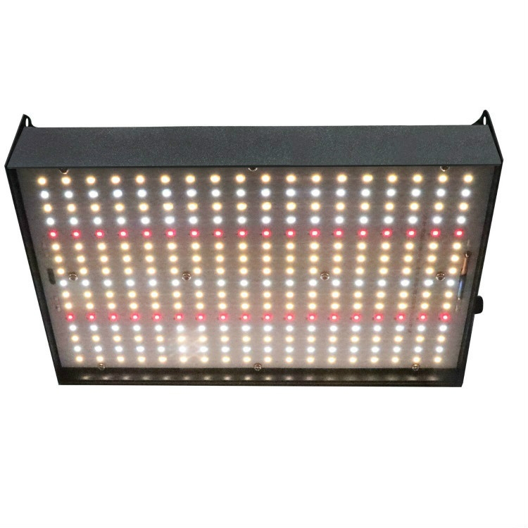 

Planting Light Full Spectrum Fill Light Succulent Plant Growth Light, US Plug